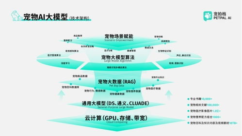 政企共鑒，智啟新程 寵拍檔亮相全國服務(wù)消費(fèi)季特色成果展，技術(shù)咨詢服務(wù)引發(fā)關(guān)注